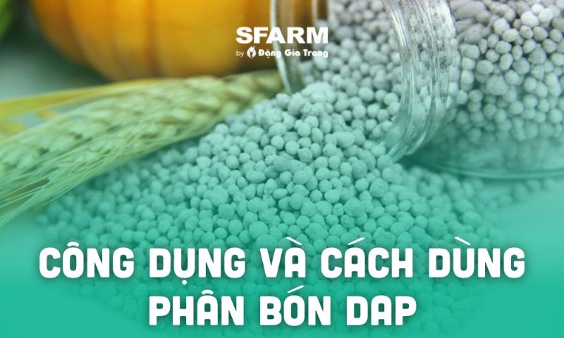 Phân DAP 18-46-0: Thành phần và vai trò trong dinh dưỡng cây trồng